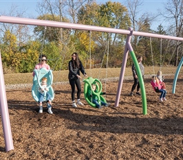 Evolution Arch Swings